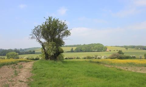 The battlefield of Edgcote in Northamptonshire, fought on 24 July 1469 between forces loyal to the Yorkist king Edward IV and northern rebels allied to the earl of Warwick. 