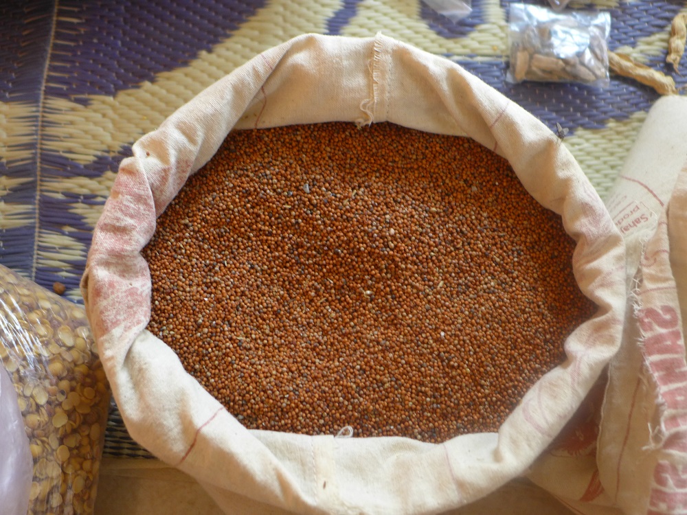 Ragi (finger millet) grains
