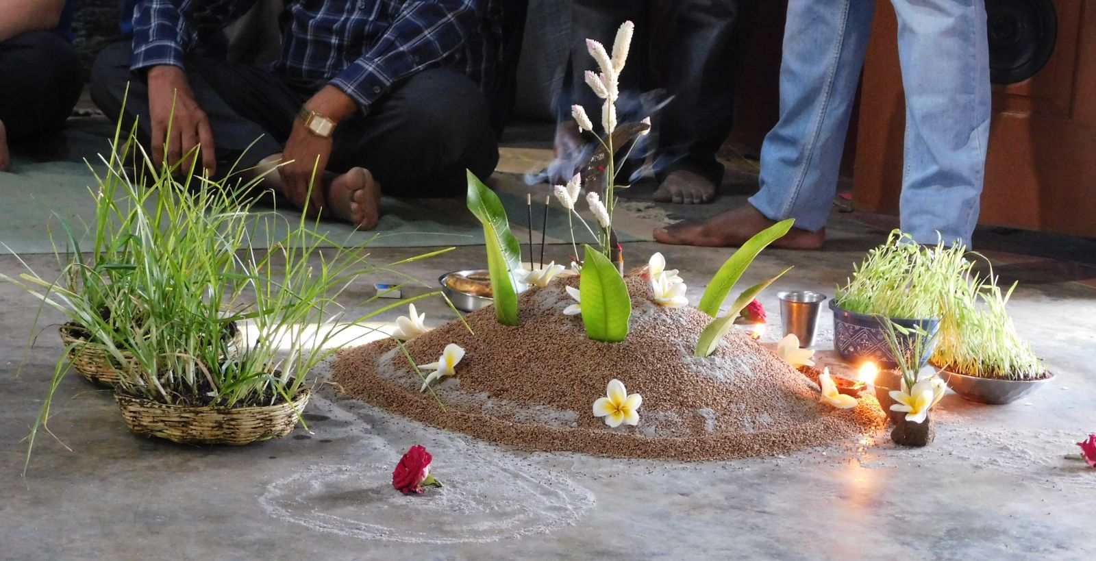 Rangoli with sprouted pulses photo