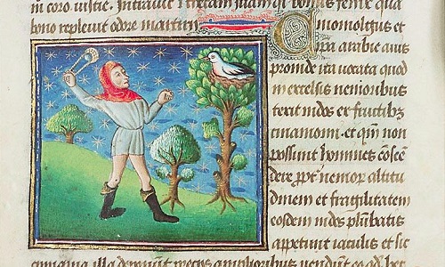 The a bird building its nest with cinnamon sticks, according to Herodotus. Bestiary in a manuscript from Western France, c. 1450., The Hague.