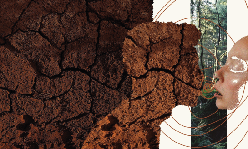 An abstract of a human face reflected with an outline of another human face layered with soil