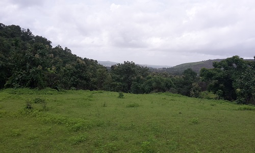 A mixed forest farmland landscape near Pune Maharashtra India