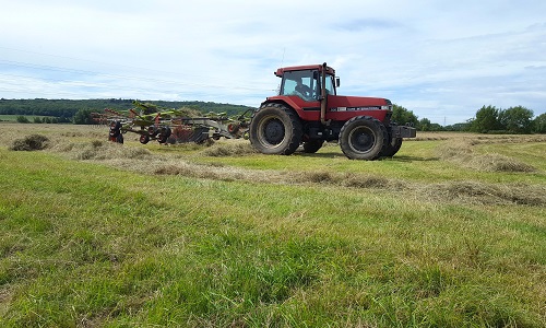 Haymaking at Yarnton Mead, Oxford UK. Copyright: Vicky Bowskill