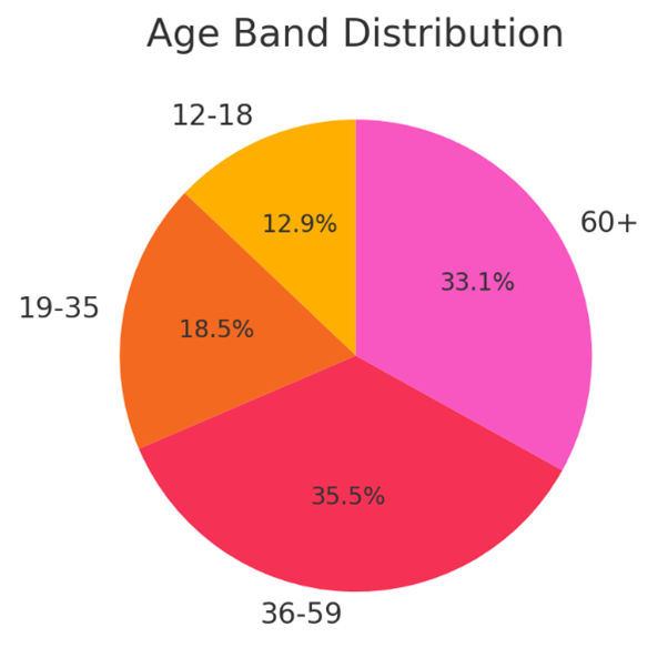 Age Band Distribution. Segments; 12-18: 12.9%, 19-35: 18.5%, 36-59: 35.5%, 60+: 33.1%