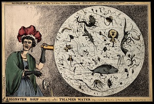A woman dropping her porcelain tea-cup in horror upon discovering the monstrous contents of a magnified drop of Thames water; revealing the impurity of London drinking water. Coloured etching by W. Heath, 1828. Wellcome Library no. 12079i.