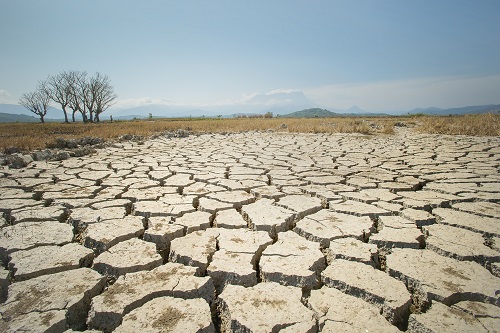 Dry ground land, drought conditions