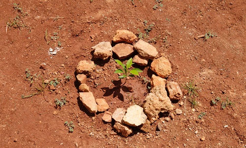 A planet growing at the centre of a small stone circle