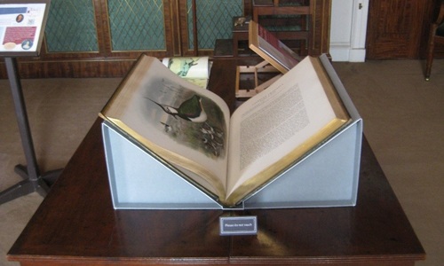 An open book with an illustration on display