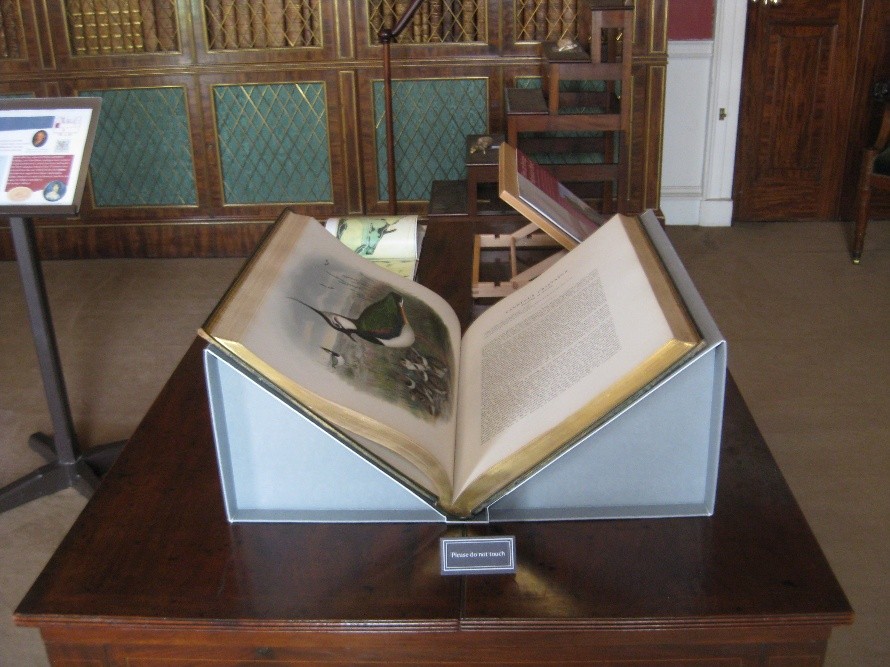 An open book with an illustration on display