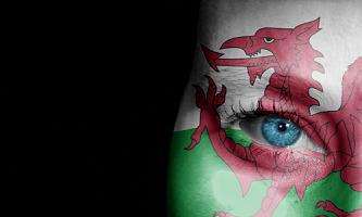 Welsh flag face painted