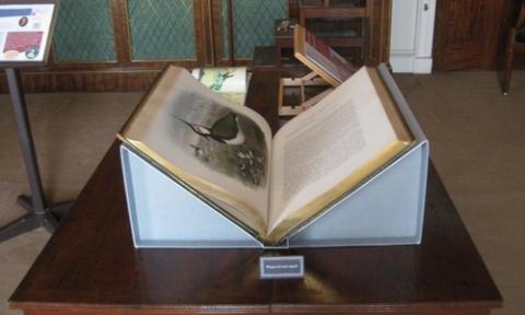 An open book with an illustration on display