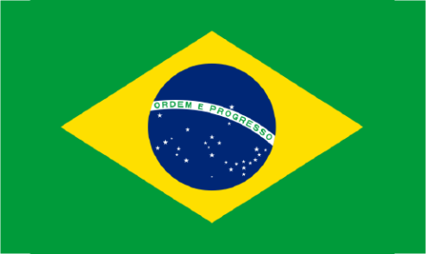The Brazil flag