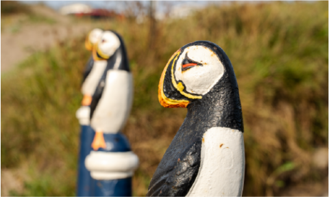 Puffin bollards - three painted cast metal sculptures by artist David Kemp near the beach