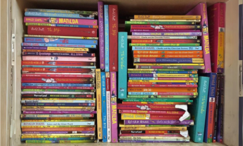 Bookshelf full of mostly Roald Dahl books, but also with several Goosebumps and one Harry Potter book.