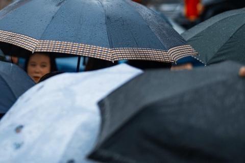 Umbrellas on a rainy day