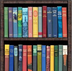 Bookshelf full of books